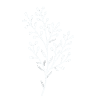Flower Strauss Sticker by eulenschnitt