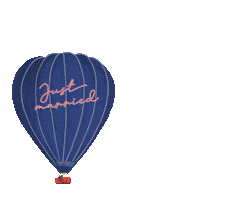 Hot Air Balloon Wedding Sticker by bootshaustegernsee