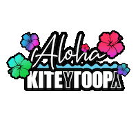 Fun Friends Sticker by KITEYLOOPY