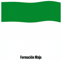 Pais Vasco Bandera GIF by Formación Ninja
