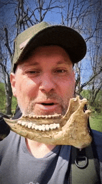 Happy Big Smile GIF by Crazy Detectors