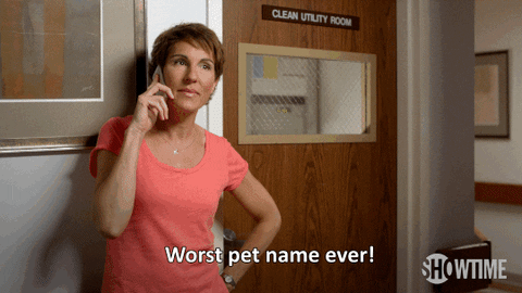 matt leblanc lol GIF by Showtime