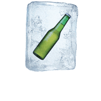 party beer Sticker by TOPS at SPAR