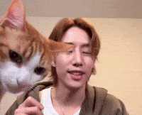 Mark Tuan GIF