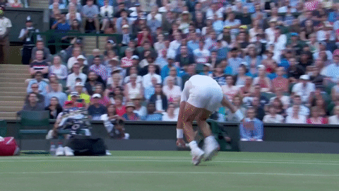 fall over GIF by Wimbledon