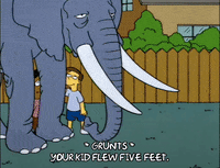 Season 5 Elephant GIF by The Simpsons