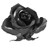 Flower Rose Sticker