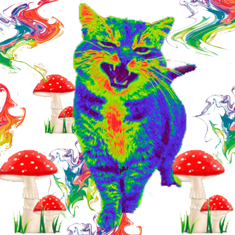 paohlopez giphyupload animal colores psy Sticker