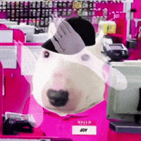 English Bull Terrier Pink GIF