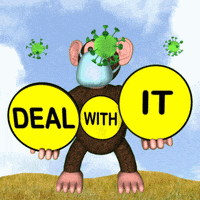 Wear A Mask Deal With It GIF