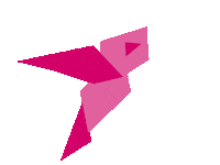 Pink Flying Sticker by Editions Jocatop