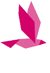 Pink Flying Sticker by Editions Jocatop