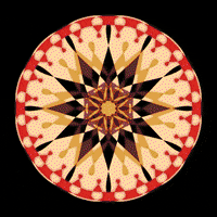 mandala art GIF by Moon Mandalas Mobile App