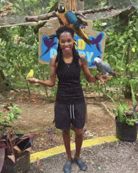 Bird Love GIF