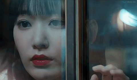 cat sakura GIF