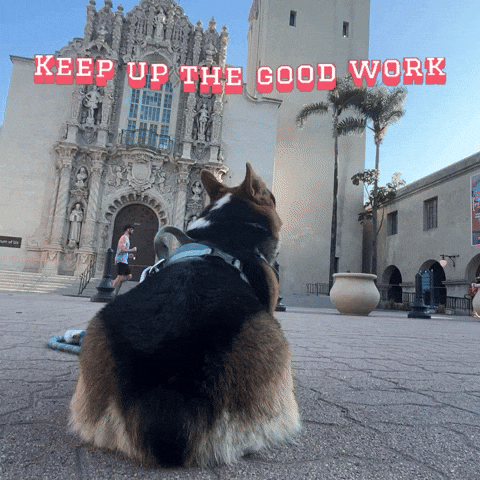 Keep Up The Good Work Corgi GIF