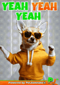 Brad Pitt Happy Dance GIF by PetJuvenate - PJ