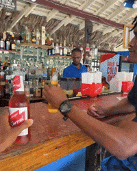 Red Stripe Drinking GIF