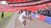 AstonVillaFC happy sports football sport GIF