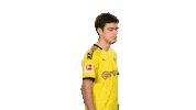 Posing Line Up Sticker by Bundesliga