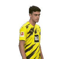 Posing Line Up Sticker by Bundesliga