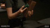 Tv Show Television GIF by CW Kung Fu