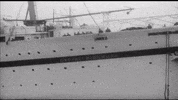 Windrush GIF