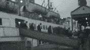 Windrush GIF