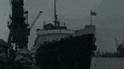 Windrush GIF