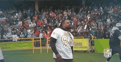 National Football League GIF by NFL