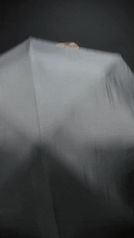 ReineDigital giphyupload prg pinnacle racing group connor zilisch GIF