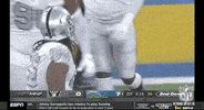 Las Vegas Raiders Football GIF by NFL