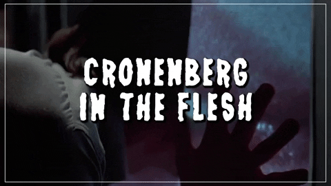 GIF by Coolidge Corner Theatre