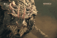 Growling Skull Island GIF by Apple TV