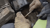 viceland GIF by Dead Set on Life