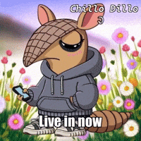 GIF by Chillo Dillo