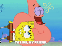 season 6 GIF by SpongeBob SquarePants