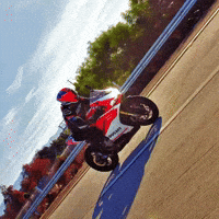 Interspacemonkey GIF