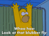 the simpsons GIF