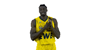 Ewe Baskets Basketball Sticker by EWE Baskets Oldenburg