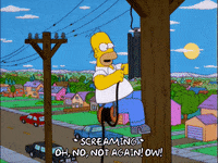 homer simpson GIF