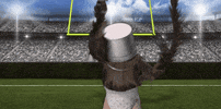 super bowl 2016 GIF by Mountain Dew