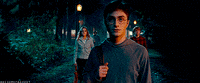 harry potter GIF