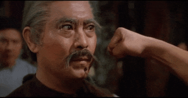 martial arts my rebellious son GIF by Shaw Brothers