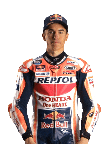 Honda Celebration Sticker by Box Repsol