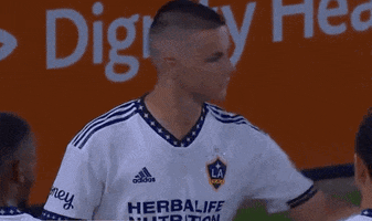 Celebrate La Galaxy GIF by Major League Soccer