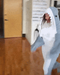 Shark GIF by Respective
