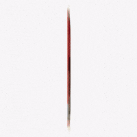 Photographer Lollapalooza GIF by Respective