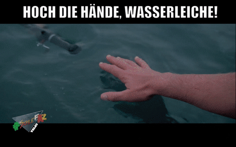 schlefaz GIF