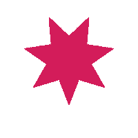Pink Star Sticker by Liz Delmart
